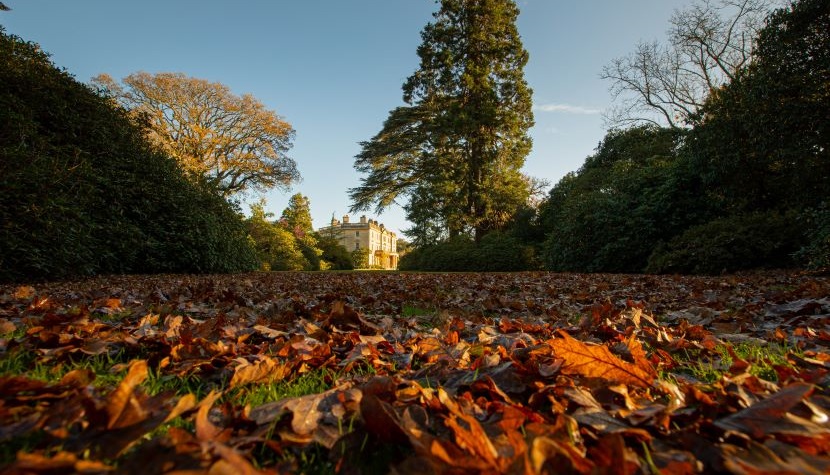 Exbury Gardens autumn